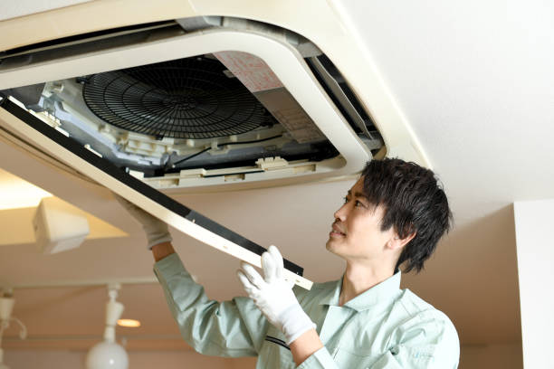 Best Affordable Duct Cleaning Services  in Laingsburg, MI